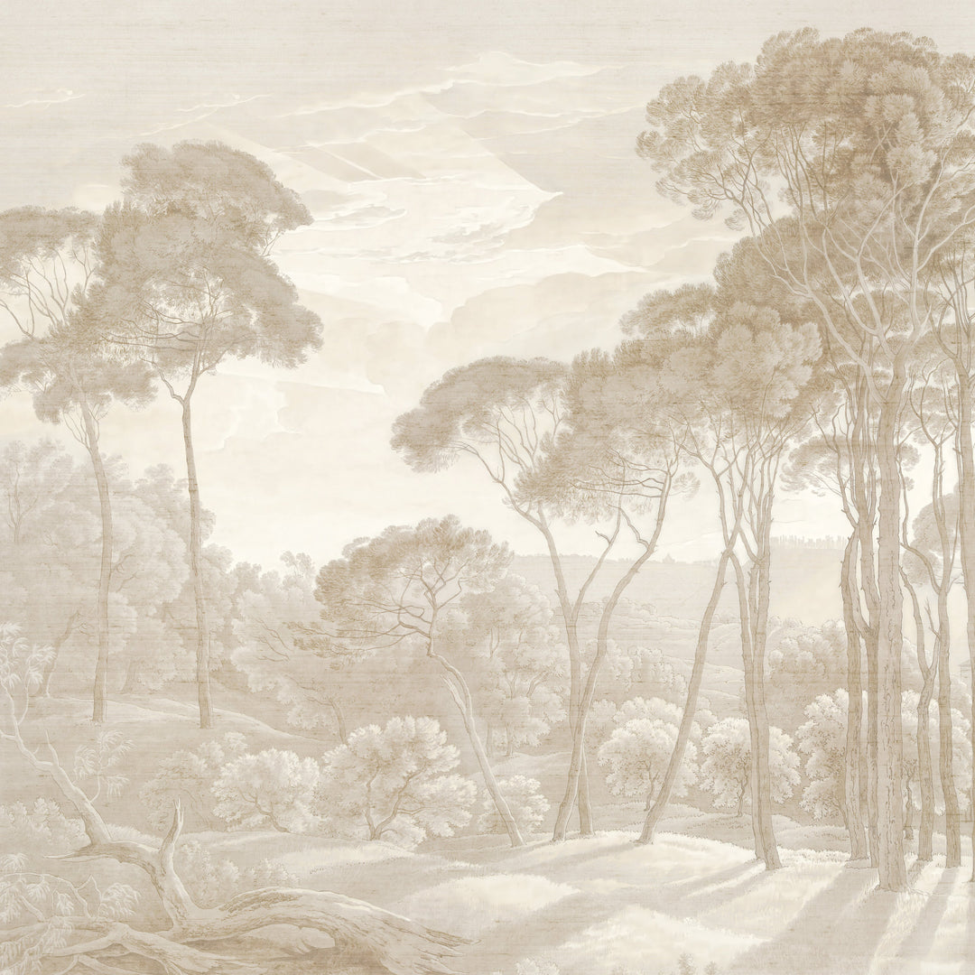 Umbrella Pines Study - Dusty Silk