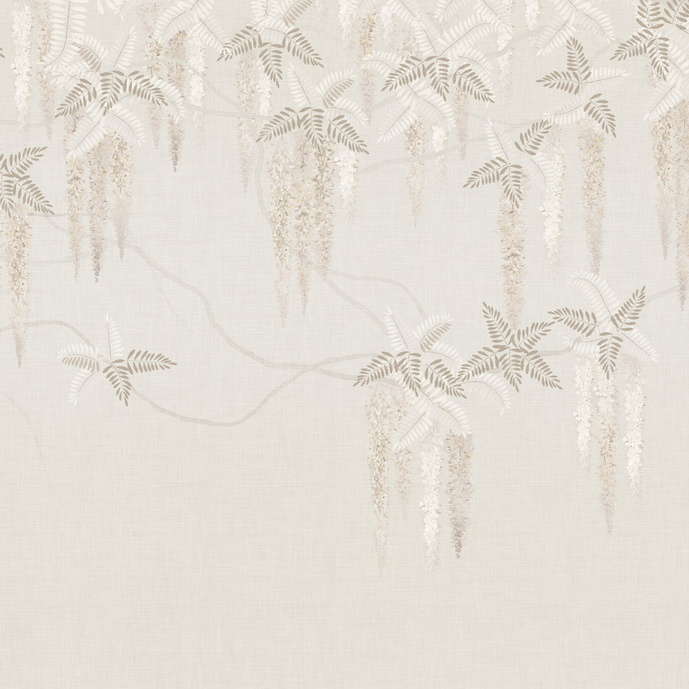 Weeping Wisteria - Faded