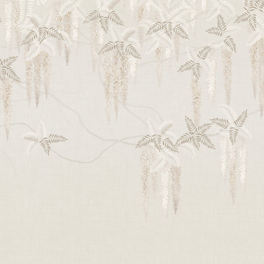 Weeping Wisteria - Faded