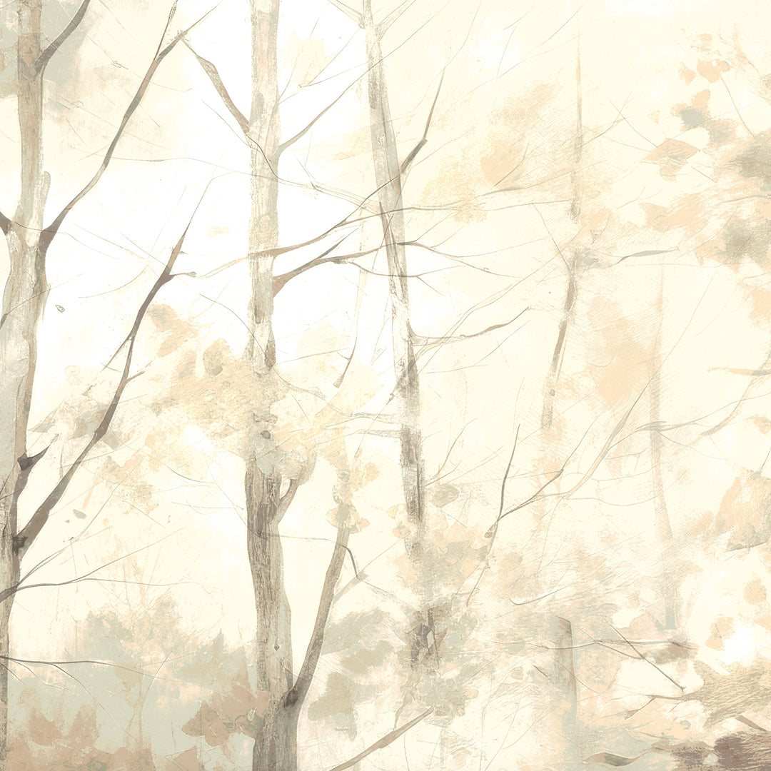 Basswood Forest