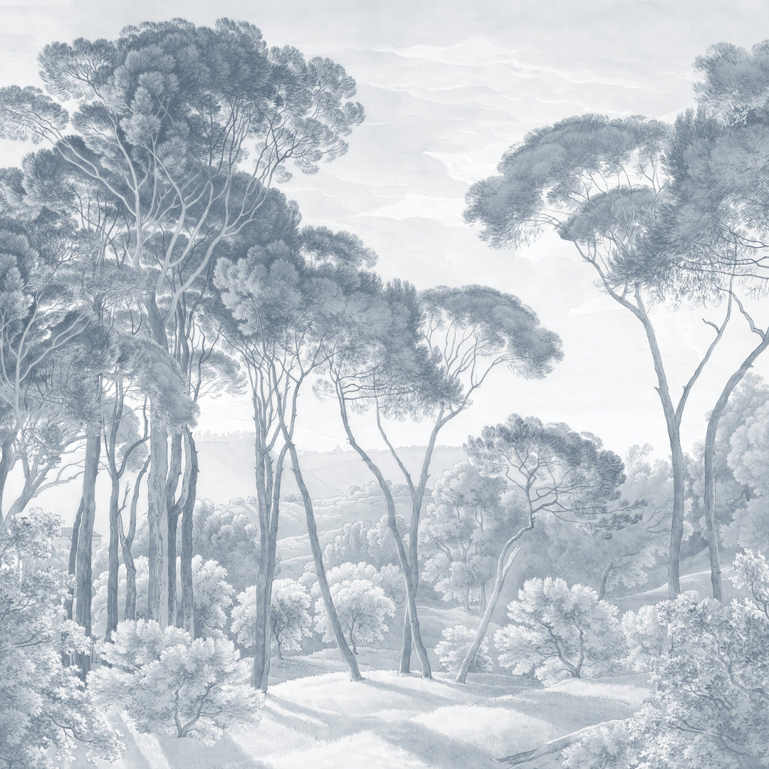 Umbrella Pines Study - Slate