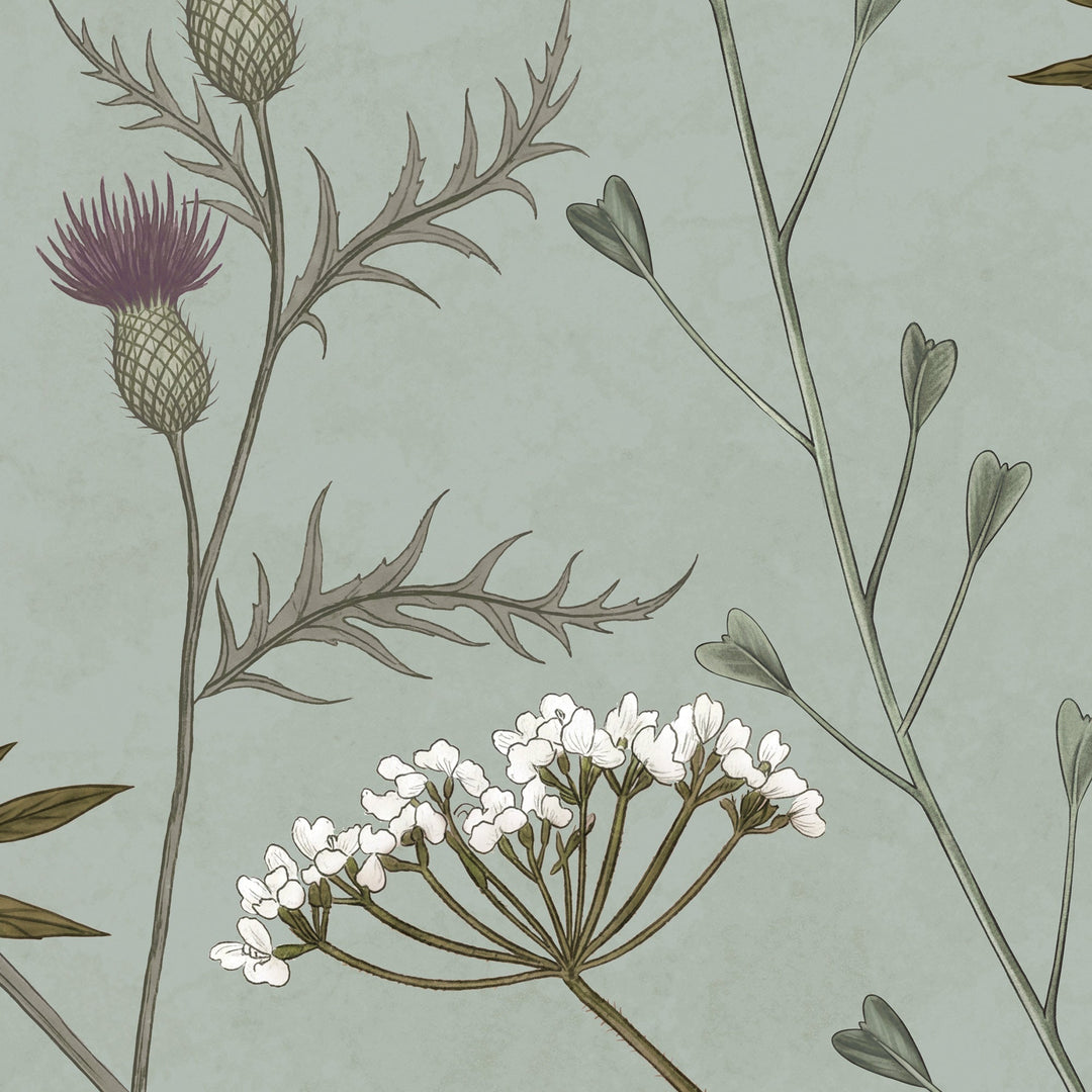 Whispering Thistle on Eucalyptus