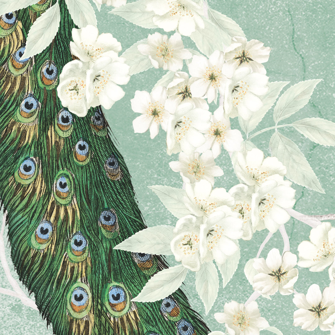 A Pride of Peacocks - Sage