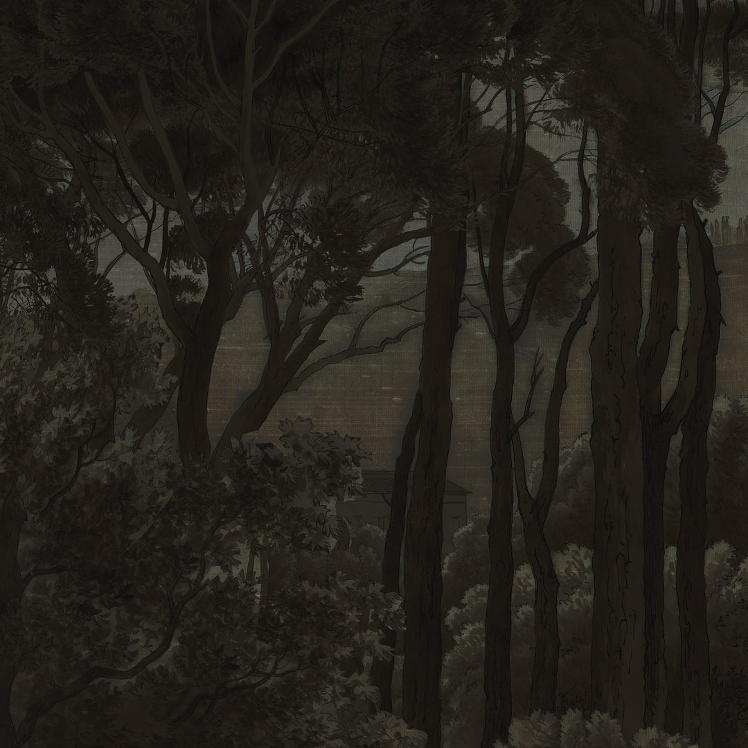 Umbrella Pines Study - Shadow Silk