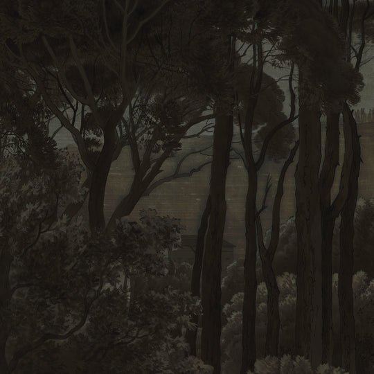 Umbrella Pines Study - Shadow Silk