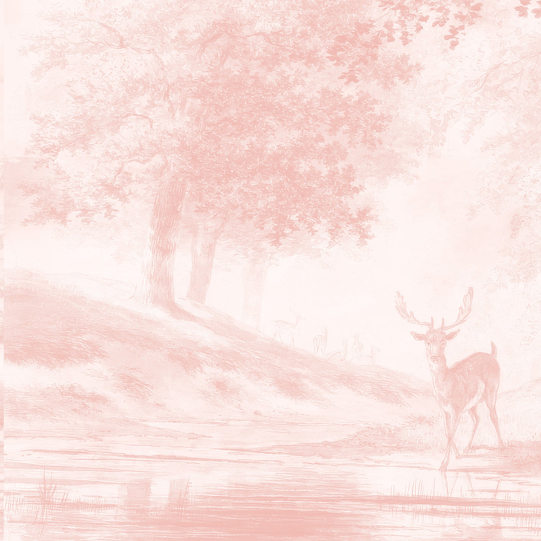 Beech Tree Springs Series II - Blush