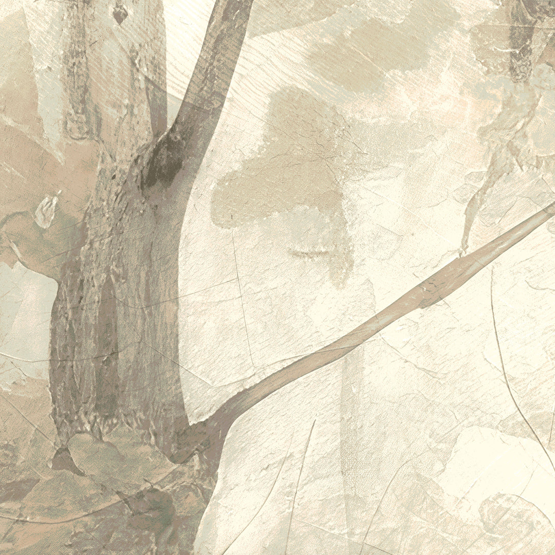 Basswood Forest