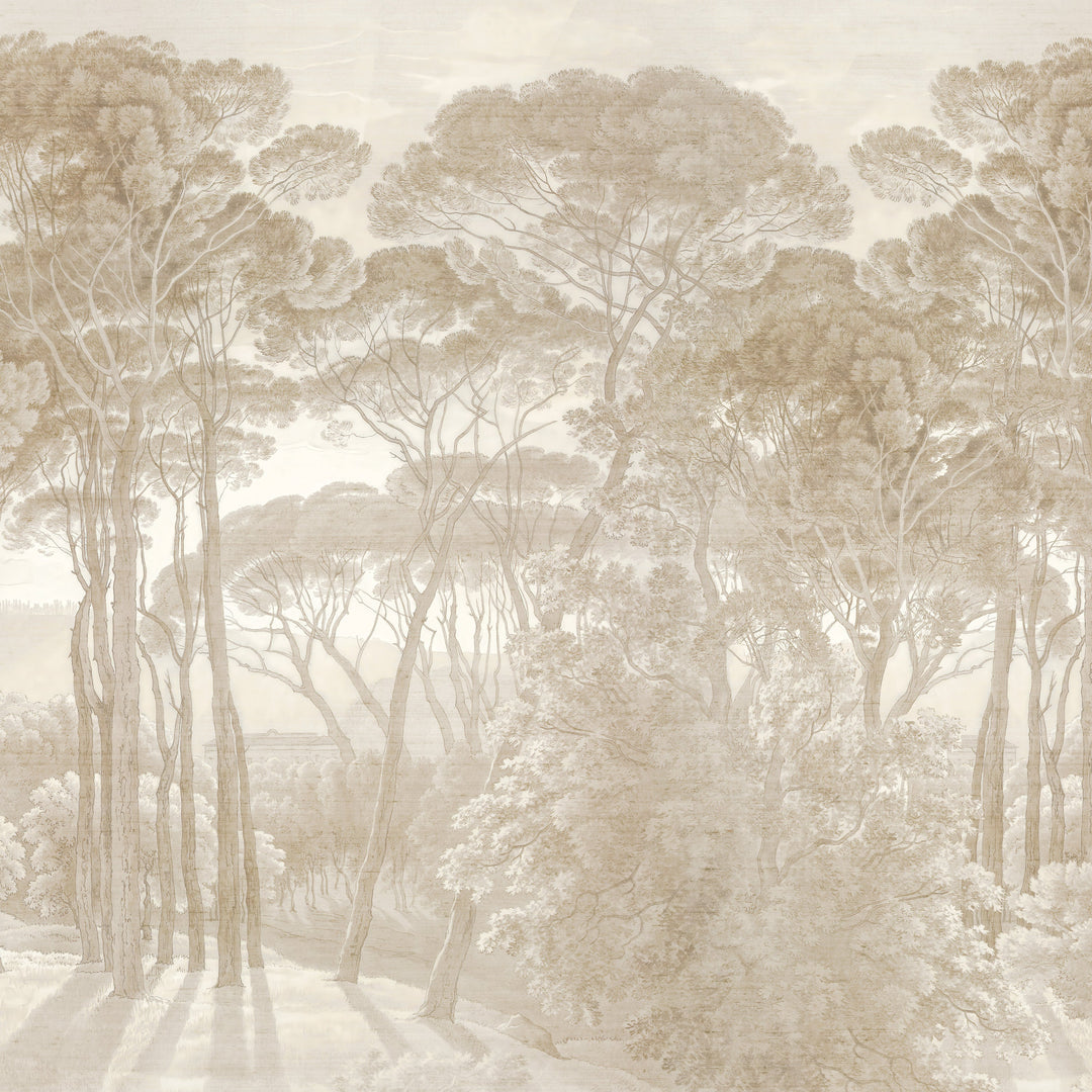 Umbrella Pines Study - Dusty Silk