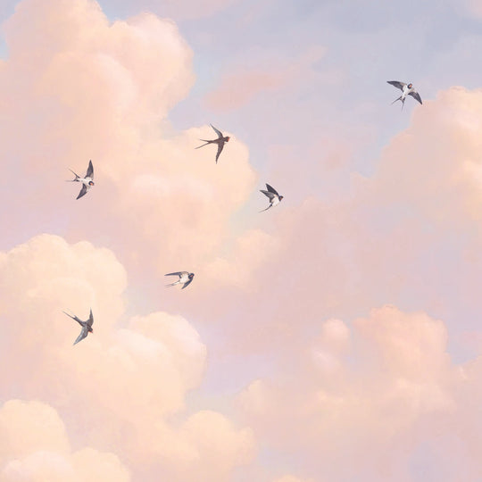 Sky Song - Dawn