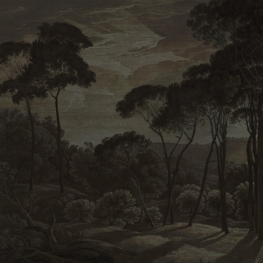 Umbrella Pines Study - Shadow Silk