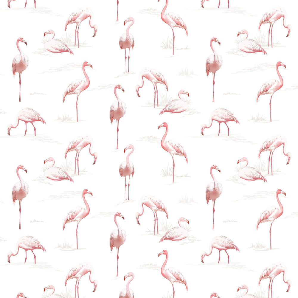Flamboyance