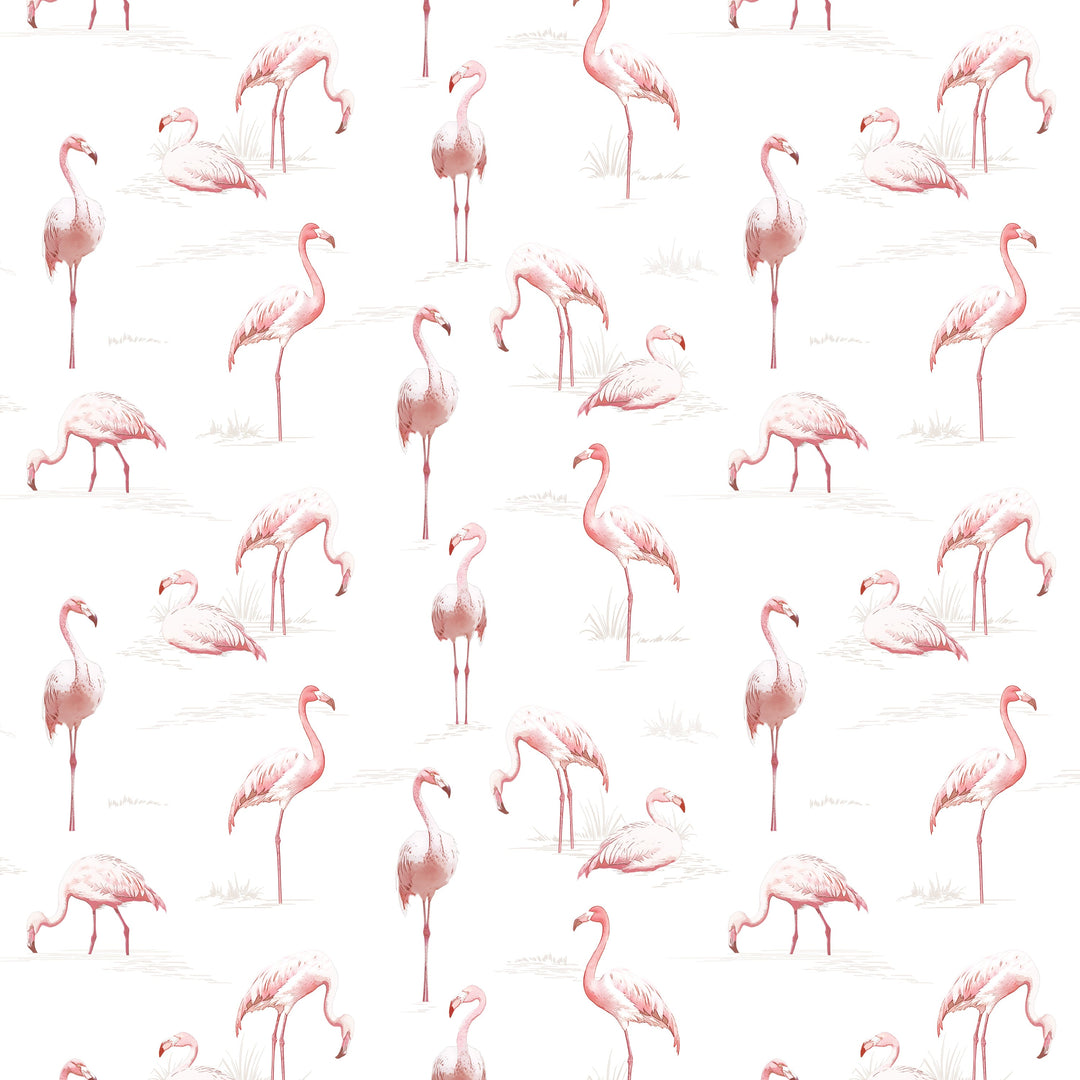 Flamboyance
