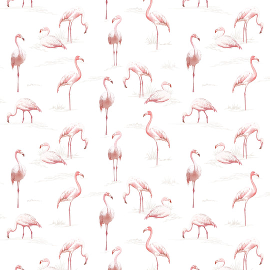 Flamboyance