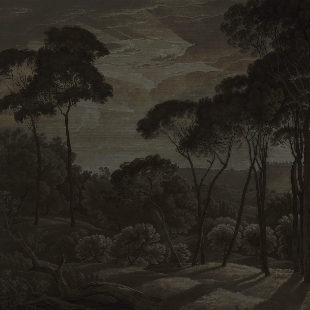 Umbrella Pines Study - Shadow Silk