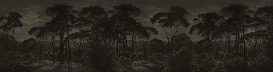 Umbrella Pines Study - Shadow Silk