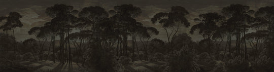 Umbrella Pines Study - Shadow Silk