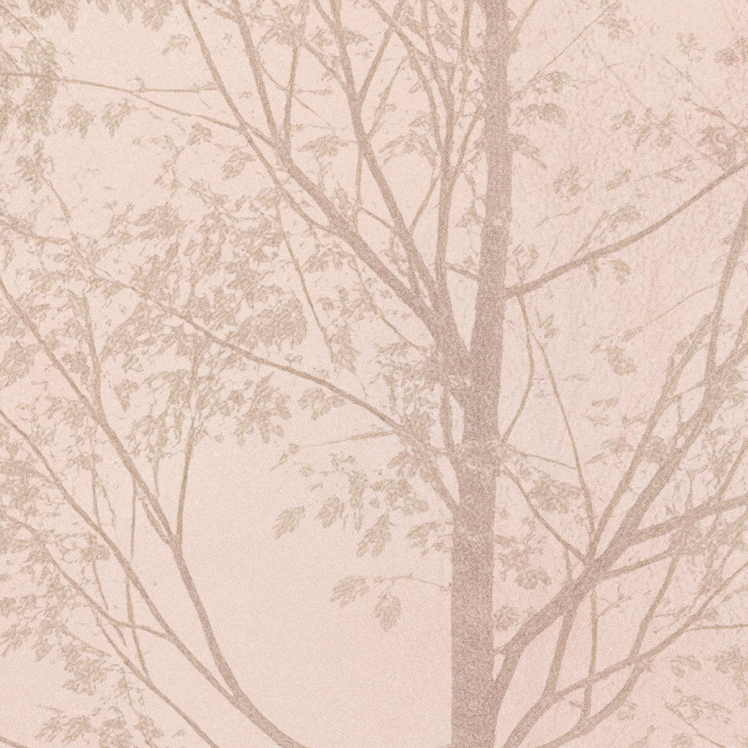 Ethereal Forest