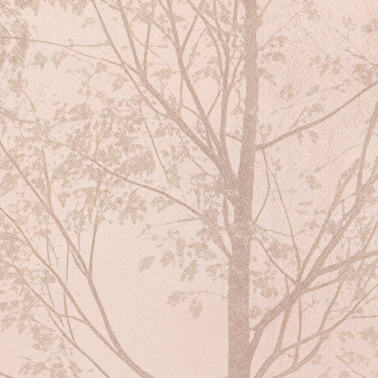 Ethereal Forest