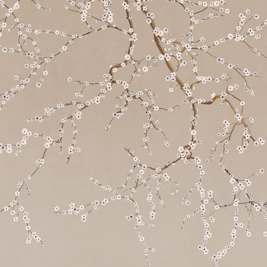 Cherry Blossoms on Taupe