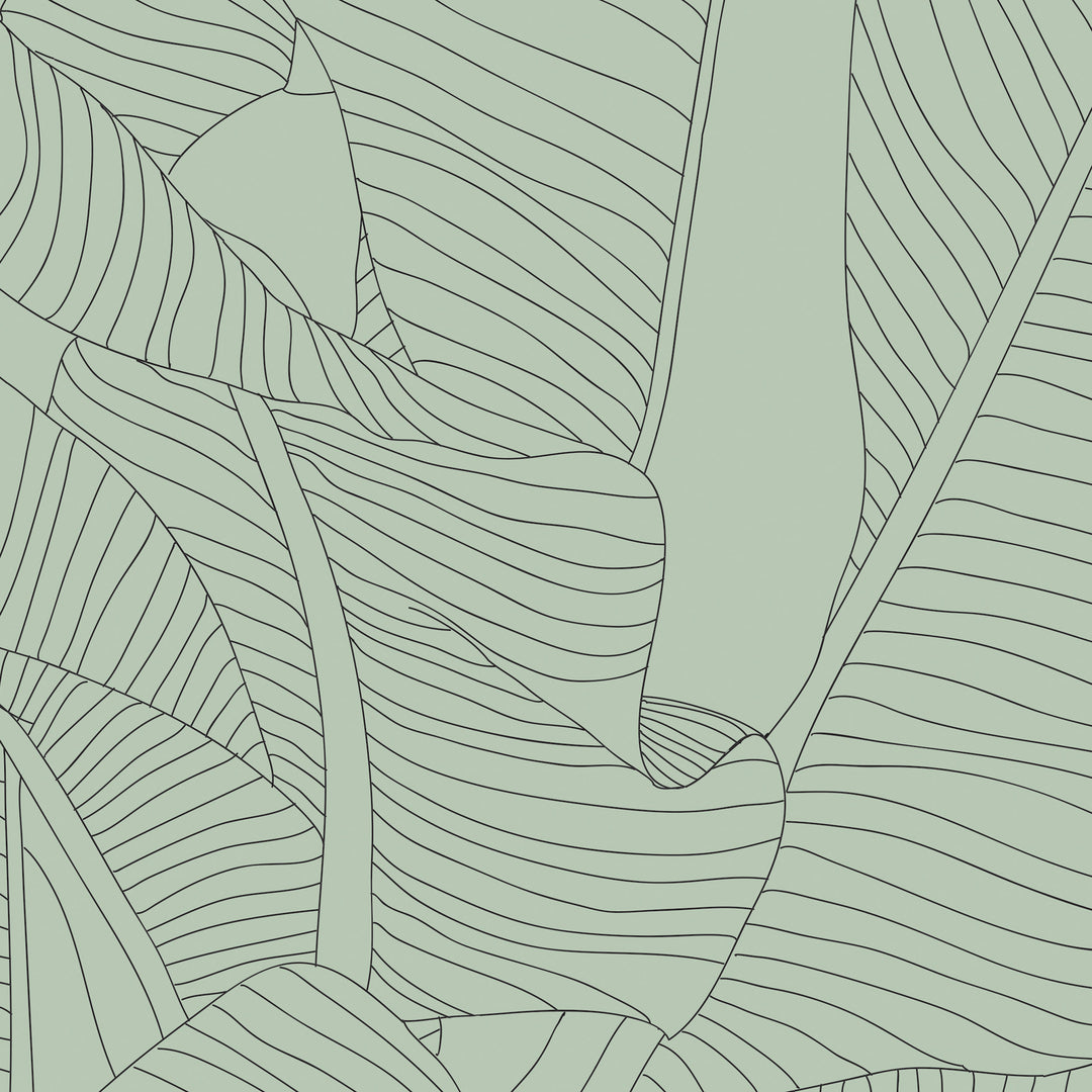 Banana Leaves in Sage