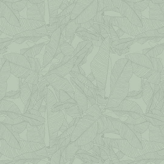 Banana Leaves in Sage
