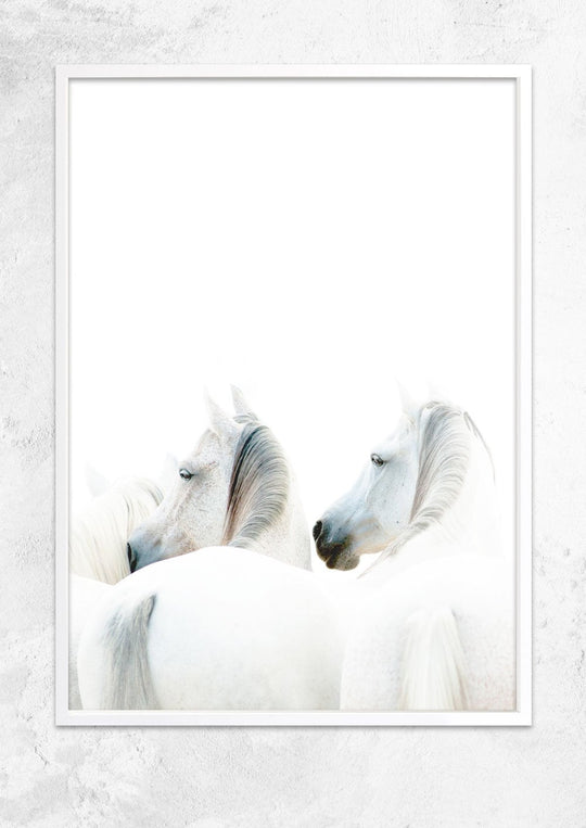 White Tribe