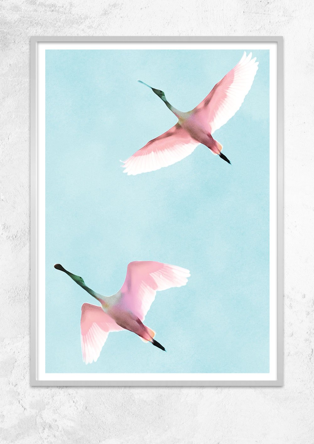 Two Flying Flamingos