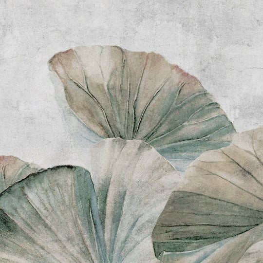 Lotus Leaves II