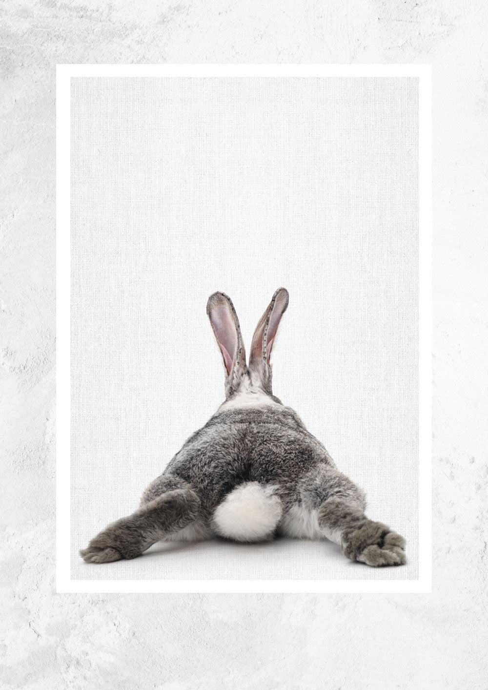 Nursery Animals - Bunny Bottom