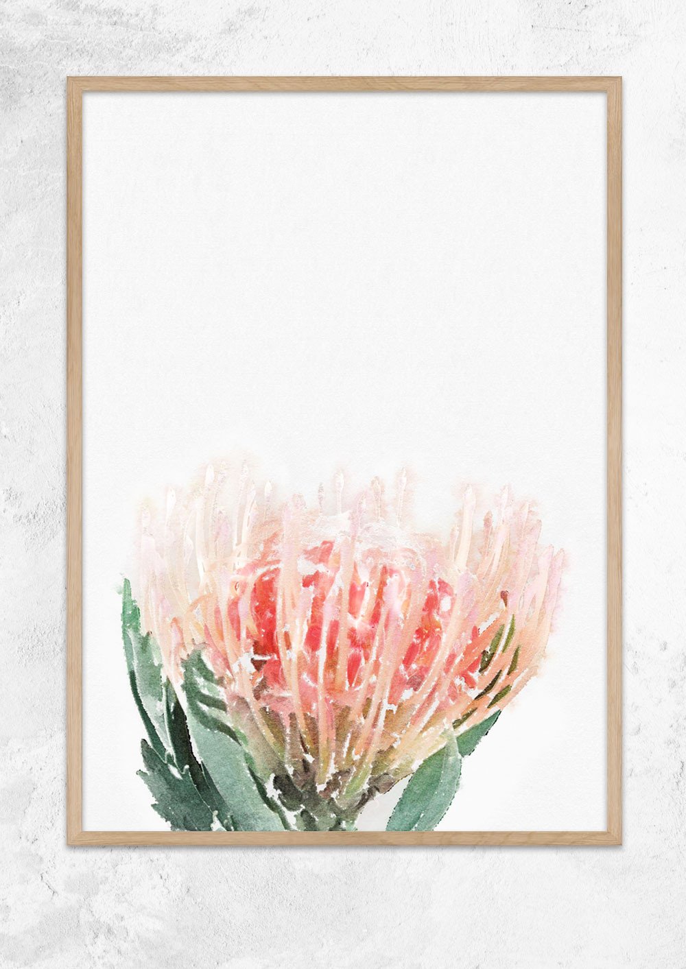 Watercolour Pincushion Protea