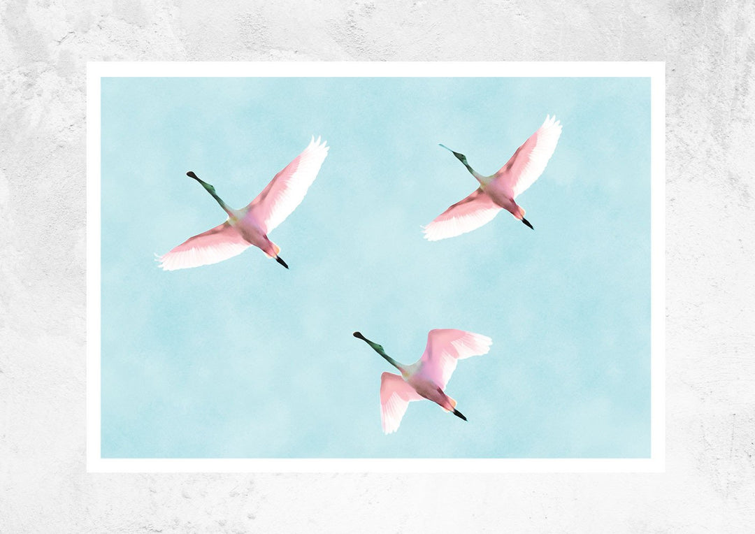 Flying Flamingos
