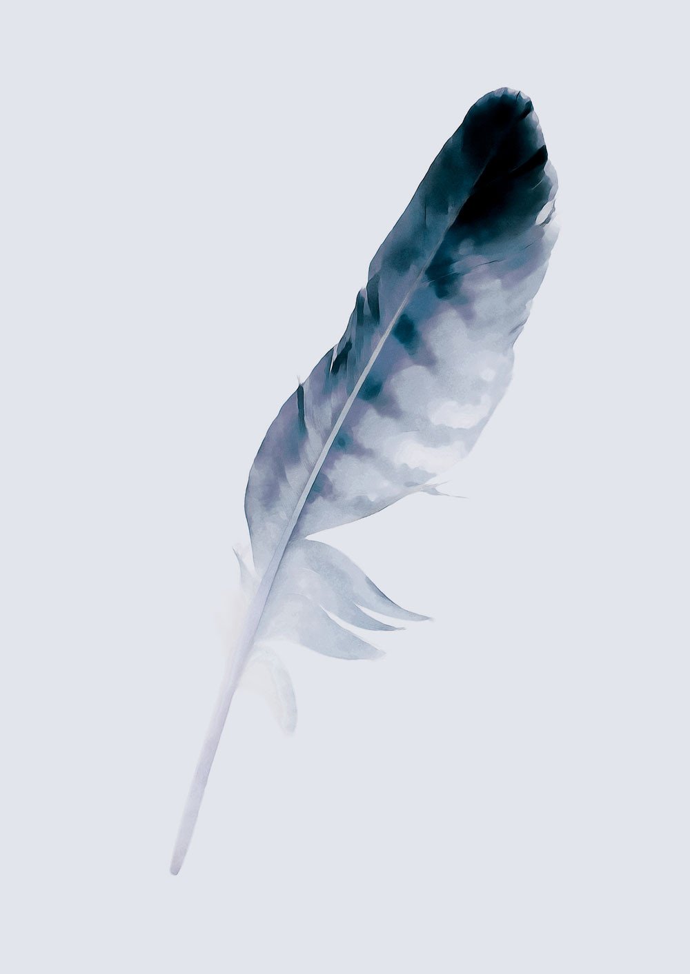 Falcon Feather