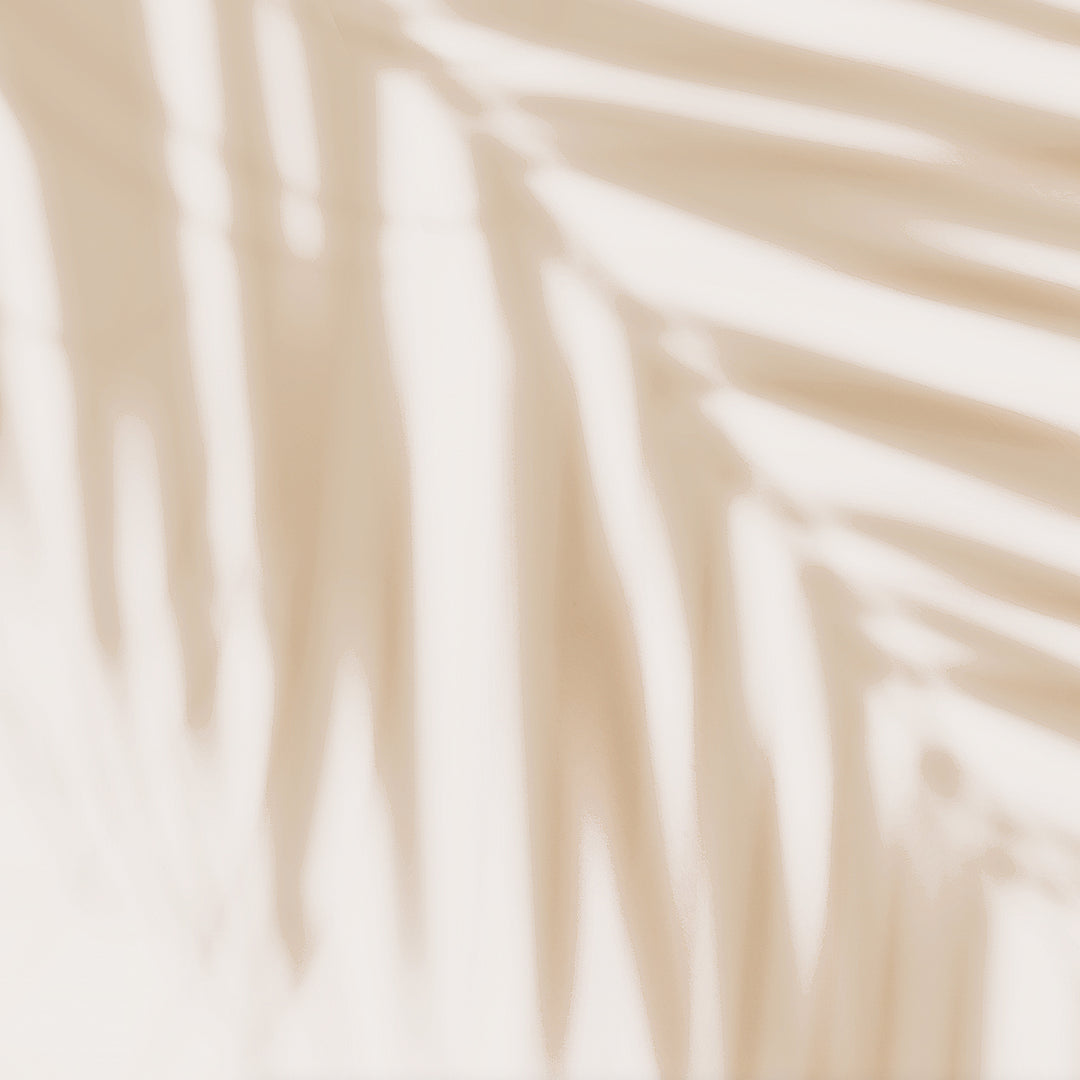 Shadow Palms