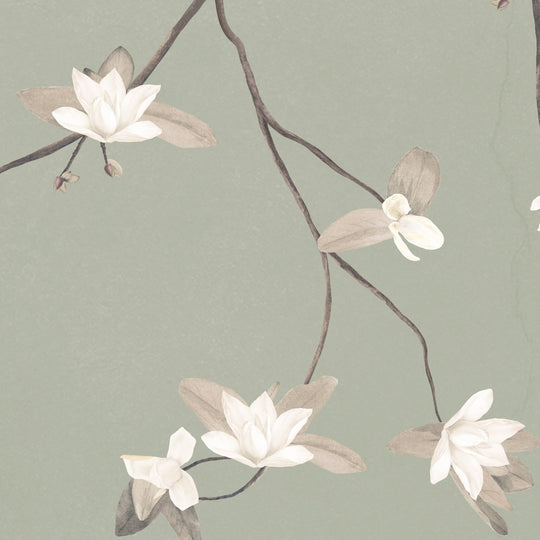 Magnolias on Antique Sage