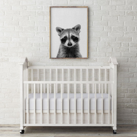 Nursery Animals - Raccoon