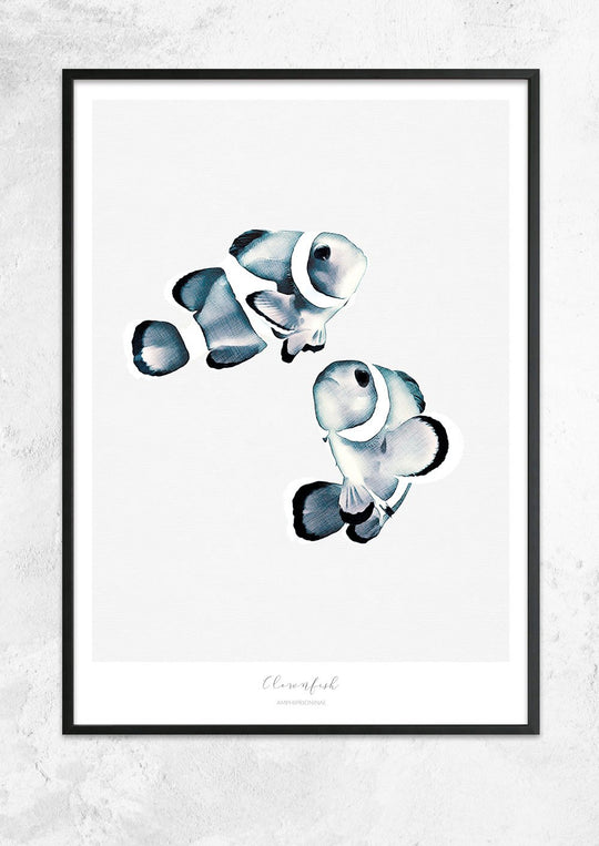 Marine Life Series - Clownfish