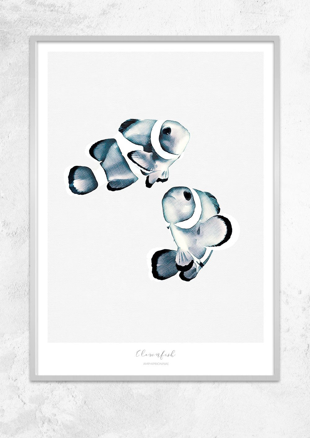 Marine Life Series - Clownfish