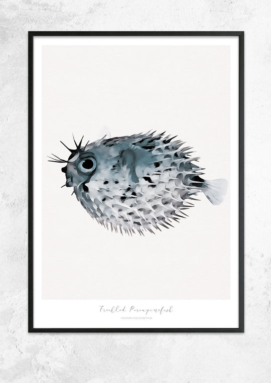 Marine Life Series - Freckled Porcupine Fish