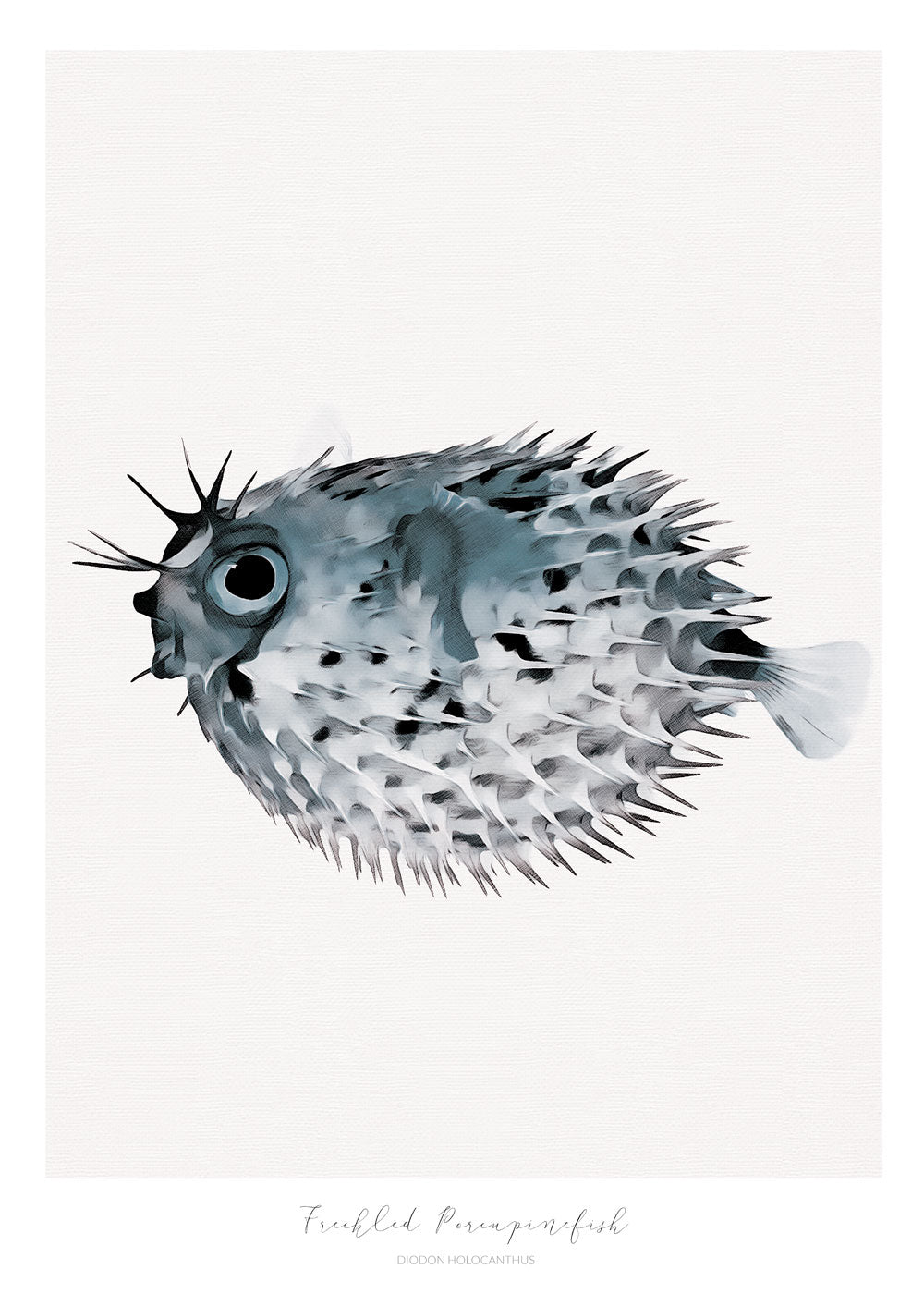 Marine Life Series - Freckled Porcupine Fish