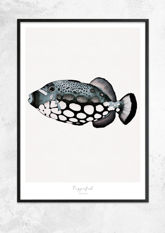 Marine Life Series - Triggerfish