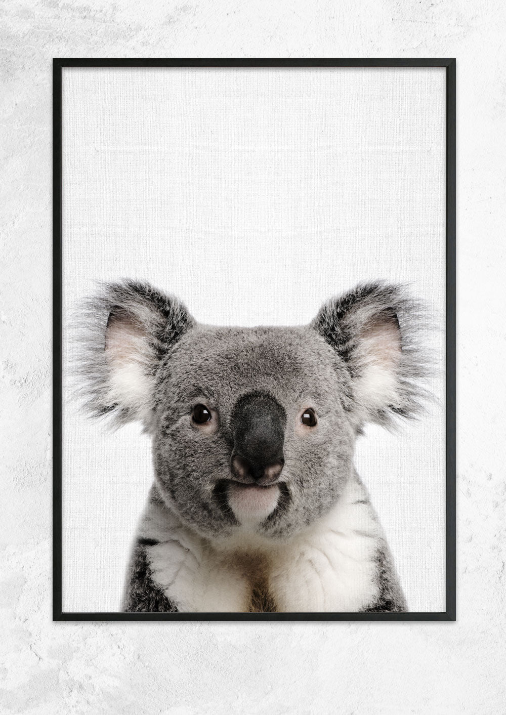 Nursery Animals - Koala