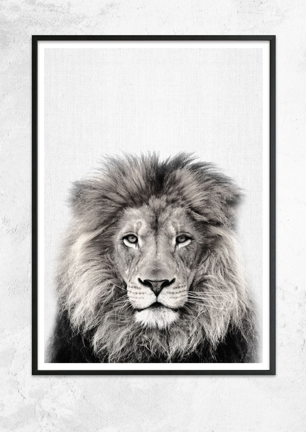 Nursery Animals - Lion