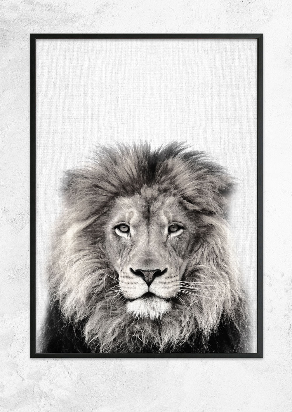 Nursery Animals - Lion