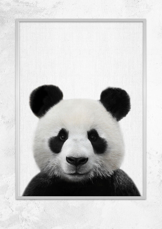 Nursery Animals - Panda