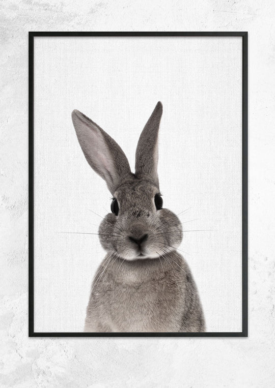 Nursery Animals - Rabbit