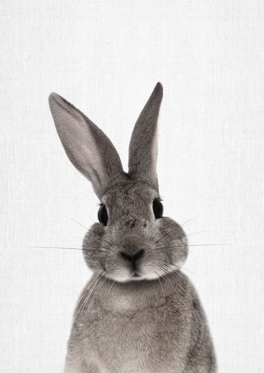 Nursery Animals - Rabbit