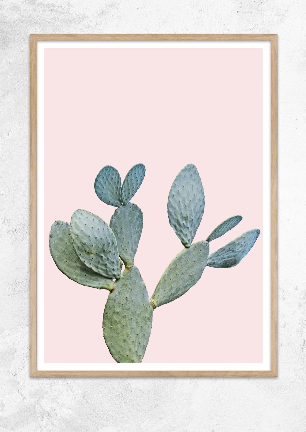 Prickly Pear in Dusty Pink