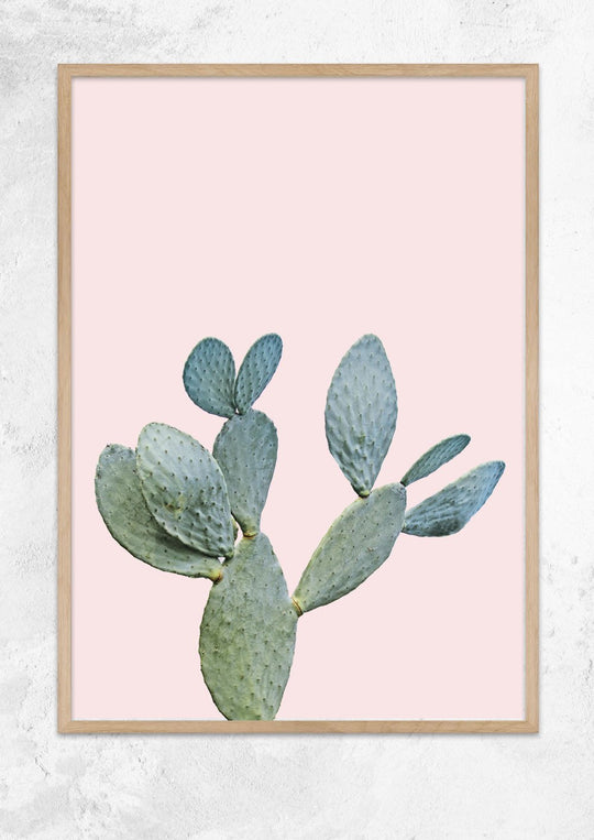 Prickly Pear in Dusty Pink