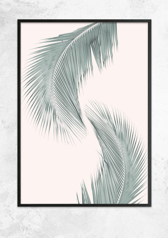 Silver Coconut Palms No I