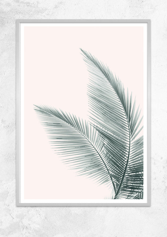 Silver Coconut Palms No II